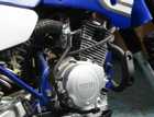 Click on this photo of the Yamaha TTR125 to enlarge... for sale at Motoport 