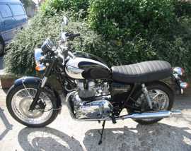 Click on this photo of the Triumph Bonneville T100 to enlarge... for sale at Motoport  - if this photo is missing try refreshing the page if the photo still doesn't appear this vehicle might be already sold in which case please contact the dealer